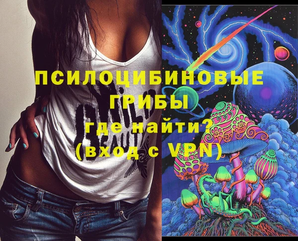 гидра Аркадак