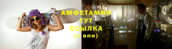 гидра Аркадак