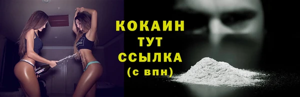 ГАЛЛЮЦИНОГЕННЫЕ ГРИБЫ Арсеньев