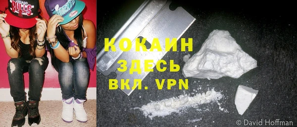 гидра Аркадак
