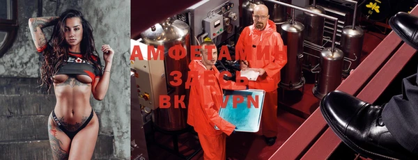 гидра Аркадак