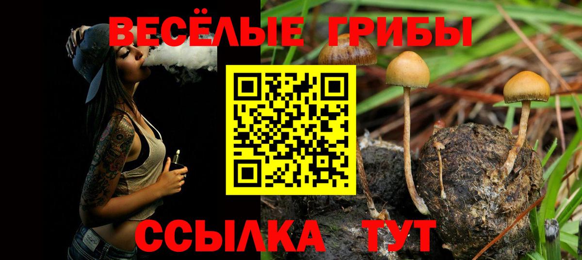 Саки  Галлюциногенные грибы прущие грибы  Вход с VPN  наркошоп  Псилоцибиновые грибы ЛСД 