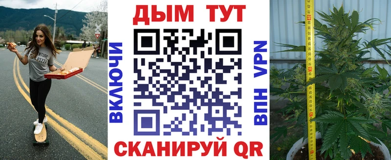 сколько стоит  blacksprut ССЫЛКА  Конопля конопля  Саки 
